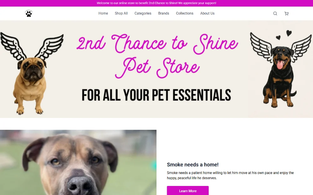 The 2nd Chance to Shine storefront, an illustrated banner above an adoptable dog